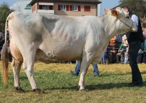 141004Altdorf 200